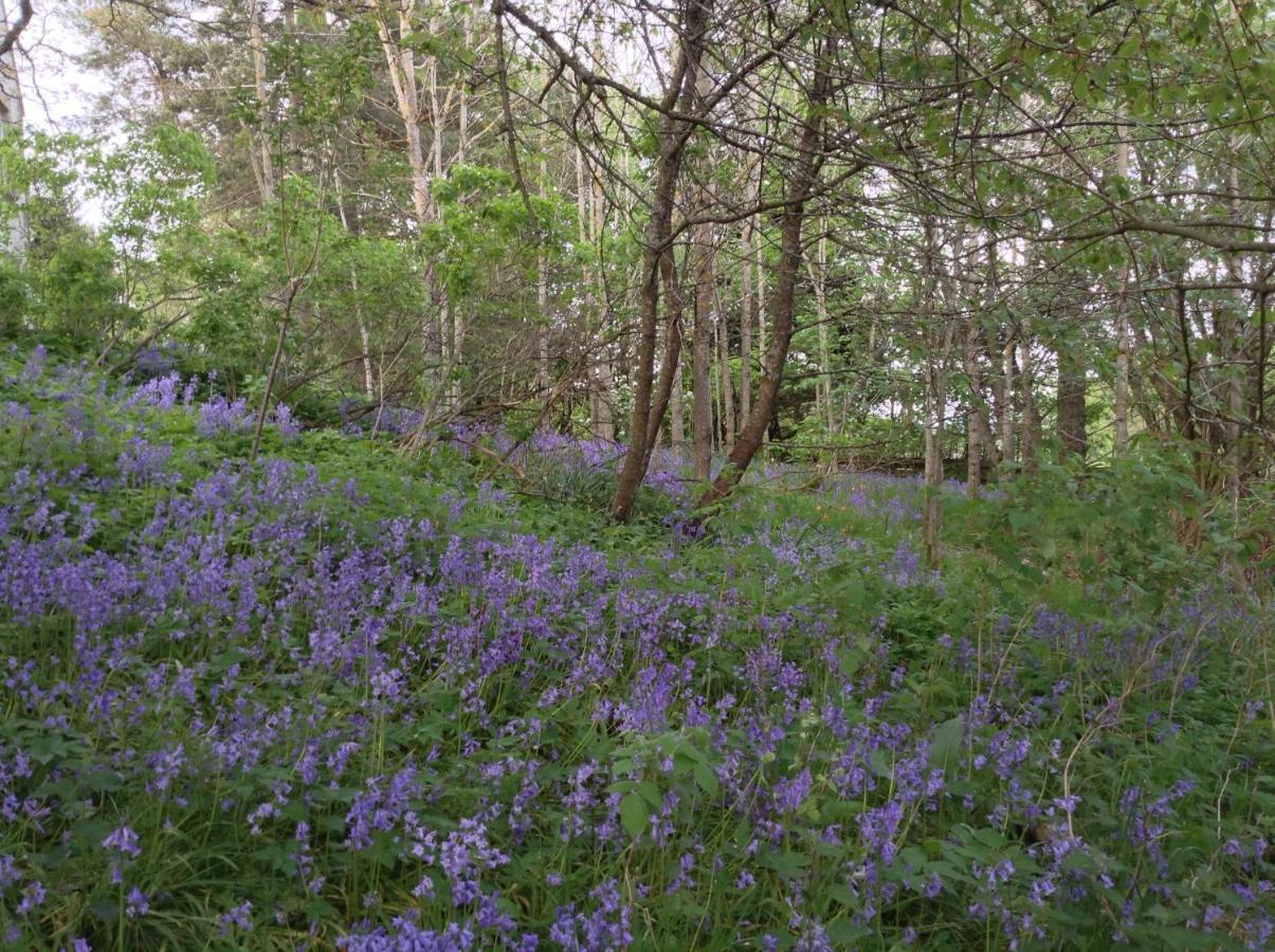 Dower House Newtonmore B&B 外观 照片